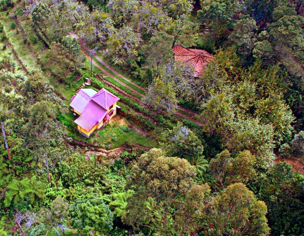 הוילה קודאיקנאל The Seven Sisters Farm מראה חיצוני תמונה