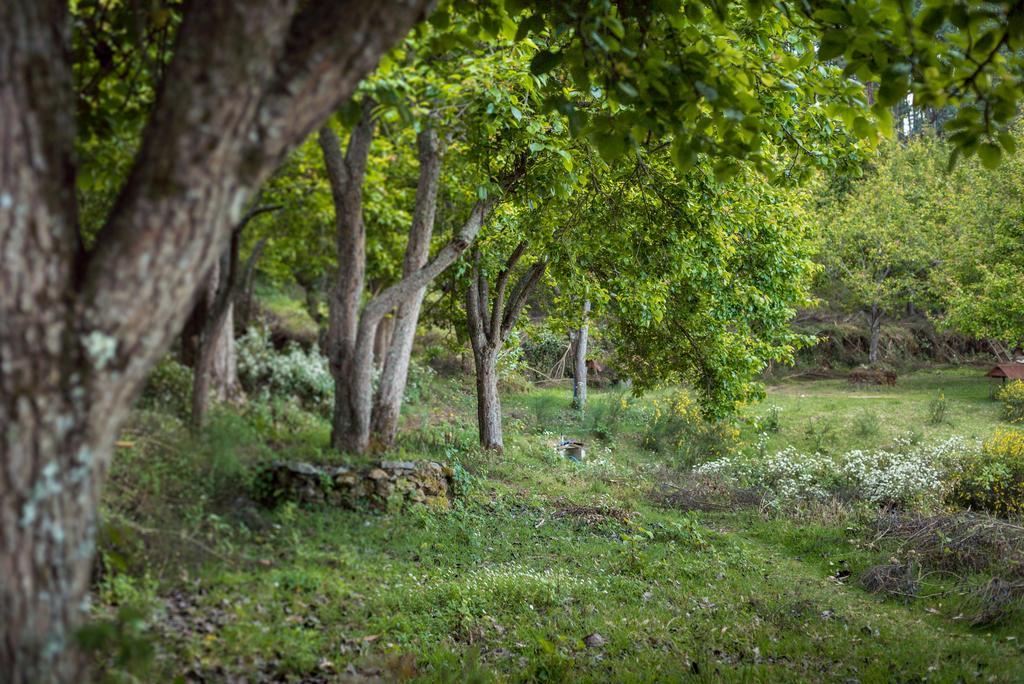 הוילה קודאיקנאל The Seven Sisters Farm מראה חיצוני תמונה